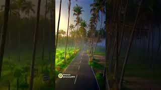 shortsvideo Sam bhi khub hi pas mahe bub hi hindi song viralvideoshortsshortvideo shortsviral [upl. by Sternberg]