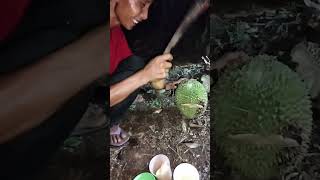 Durian Lokal Rasanya Manis Super Luar Biasa [upl. by Uon]