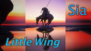 Sia Little Wing Music Video [upl. by Llertnom]