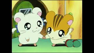 Hamtaro  Dutch Intro  Titellied [upl. by Airdnax146]