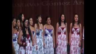 Coro Promúsica  Químbara [upl. by Leverett]