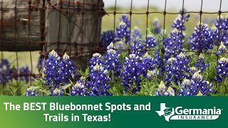 Texas Bluebonnet Roadmap  The BEST Bluebonnet Spots and Trails in Texas [upl. by Enyaht]