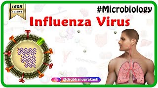 Influenza Virus Microbiology Animation [upl. by Sone40]