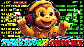 NEW TIKTOK BUDOTS DISCO DANCE REMIX NONSTOP 2024  TIKTOK REMIX 2024  BUDOTS DANCE REMIX 2023 [upl. by Germayne]