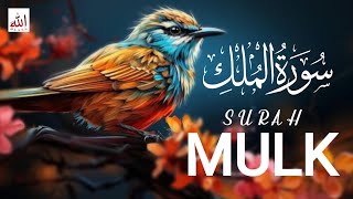 Surah Mulk Relaxing Quran Tilawat  beautiful voice quick Quran سورۃ الملک [upl. by Eidlog]