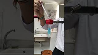 Reaction between copper sulfate with sodium hydroxidewhat is formed [upl. by Lehcnom]