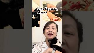 Oreo Squanto a cat [upl. by Agn588]