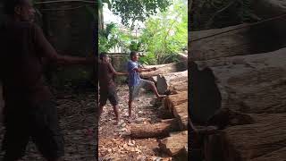 Wooden factory shortvideo [upl. by Salman]