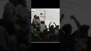 Calder Cup Game 7 Winning Goal Hershey Bears [upl. by Leary]