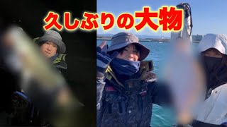 【浜名湖新居海釣り公園】夜は念願の６０㎝オーバー・朝は幻の魚が釣れました‼ [upl. by Mikkanen]