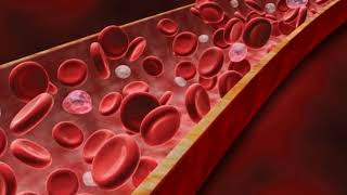 Agranulocytosis causes treatment forms [upl. by Lisle]