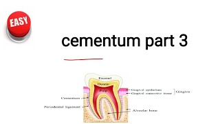 cementum part 3 [upl. by Coombs868]