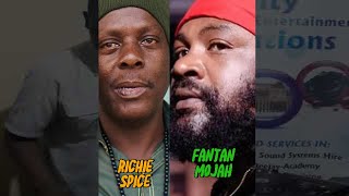 Reggae Riddim Mix I 2024 I Fantan Mojah  Richie Spice riddim DiscoverMyAfrica [upl. by Yendor535]