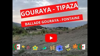 GOURAYA  TIPAZA [upl. by Aklog]