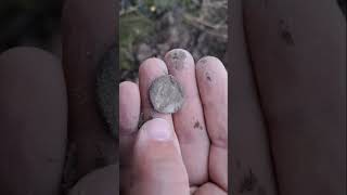 244 years old King Gustaf IIIs silver coin metaldetecting metallinetsintä history sweden [upl. by Abocaj968]