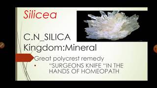 SILICEA HOMEOPATHIC REMEDYcomplete drug picture [upl. by Adilen]