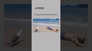 Oh My God😰Wait For End😳He made that Bird Laugh😳😂 viralcontent reels tiktok animals funny [upl. by Charlot]