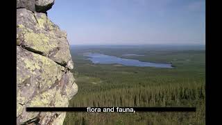 Ural Mountains The Natural Border Between Europe and Asia  Chronicles of fame [upl. by Reffinej]