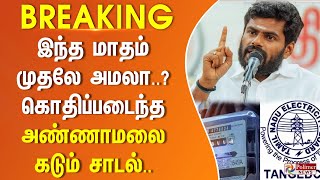 BREAKING  இரு மின் இணைப்புகள் இருந்தால் ஒரே இணைப்பாககருதி கட்டணம் கணக்கிடப்படுமாஅண்ணாமலைகேள்வி [upl. by Nagle]