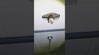 Brand new shower valve installed Stop dropping shower head REALIST TV [upl. by Adalard587]