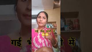 गई भैंस पानी में comedy funny😳😳😥😡😡😡like [upl. by Zeuqirdor]