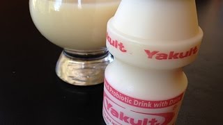 Yakult produzido com soro de Probióticos  Kefir  Kefir Doação  Fazer Kefir [upl. by Ahsener]