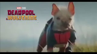 Deadpool and Wolverine DogPool Trailer 2024  NEW DogPool footage [upl. by Alliscirp]