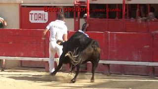 Bétons de merde devant le toril de mauguio 17 [upl. by Gregorio565]