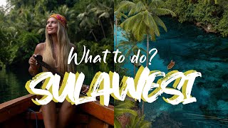 SULAWESI  What to do  Travel Vlog [upl. by Nylednarb]