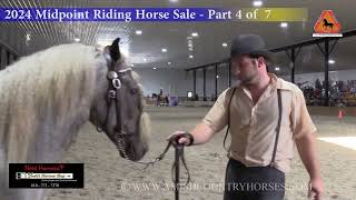 2024 Midpoint Riding Horse Sale  pt 4 of 7 [upl. by Seyah]