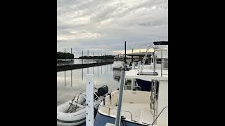 Grafton Illinois Short lake boatdog boating automobile boatingwithdogs docklife [upl. by Norina]