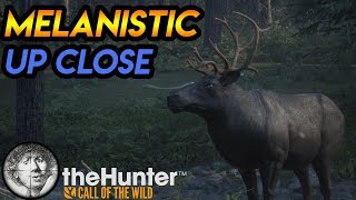 How To Stalk a MELANISTIC Caribou TheHunter Call of the Wild 2019 [upl. by Akihsar]