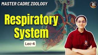 Respiratory System Lec4  Master Cadre Zoology Preparation  Most Important topic  Bansal Academy [upl. by Vick]