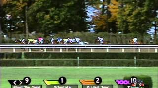 2001 Breeders Cup Classic [upl. by Zelig892]