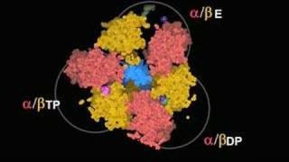 ATP synthase  top view [upl. by Halyak575]