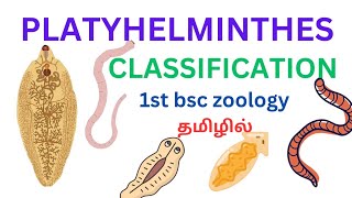 Platyhelminthes flatworms classification in tamil class trematodacestoda and turbellaria in tamil [upl. by Ainahs821]