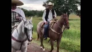 Recorrido por el rancho de Vicente Fernández  Rancho Los Tres Potrillos [upl. by Ger370]