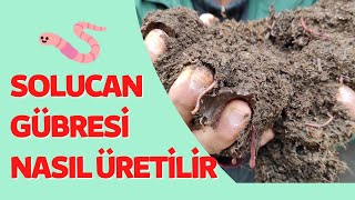 SOLUCAN GÜBRESİ ÜRETİMİ Nasıl Yapılır  Kullanım Sekli ve Faydaları Nelerdir [upl. by Yr]