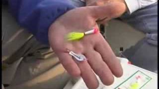 Shad fishing on the Neuse River  Part 1 [upl. by Nimad]