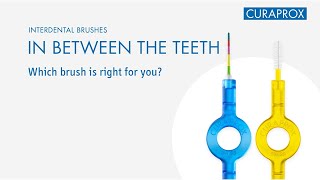 Interdental Brushes – In Between the Teeth [upl. by Ymmas]