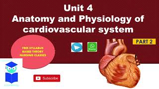 anatomy ampphysiology of cardiovascular systempericardium layers internal structures in heart part2 [upl. by Adidnac620]