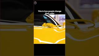 This is how people change their colour shortvideo reality life shortvideo trending shortfeed [upl. by Ibib]