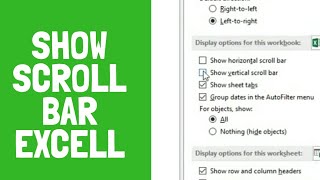 How to show scroll bar in excel [upl. by Aivatal]