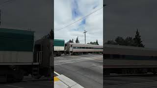 Amtrak Cascades Roars Past Railroad Crossing shorts railroad railfaning train passengertrain [upl. by Laeira]