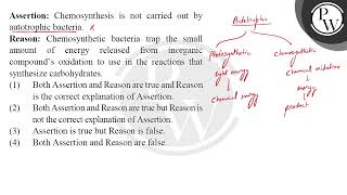 Assertion Chemosynthesis is not carried out by autotrophic bacteria Reason Chemosynthetic bac [upl. by Asemaj]