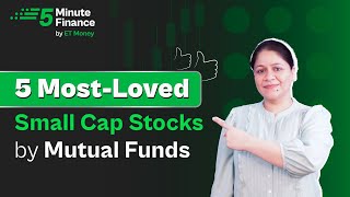 Five Favourite Small Cap Stocks of Mutual Funds  Where Mutual Funds Invest [upl. by Kakalina632]