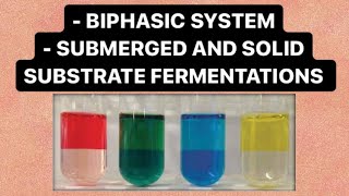 Biphasic system  Submerged and Solid Substrate Fermentation  Enzyme Technology  BIOTECHNOLOGY [upl. by Elacim]