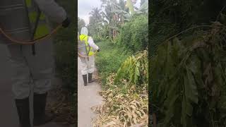 Herbicide Spraying [upl. by Auhs218]