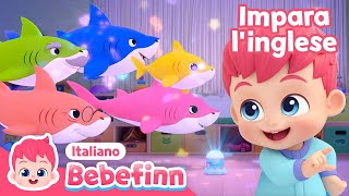 Bebefinn Bimbo Squalo  Impara linglese  Italiano  Canzoni per Bambini [upl. by Llerat]