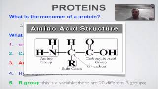 Screencast 2C Part 1  Amino Acid Structure [upl. by Reinke]